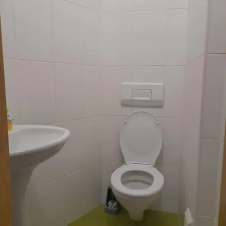 Oasis *