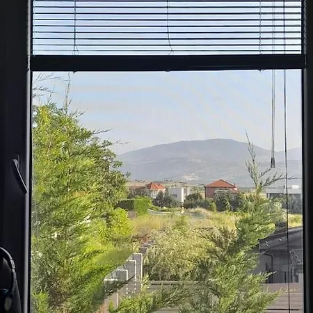 Oasis